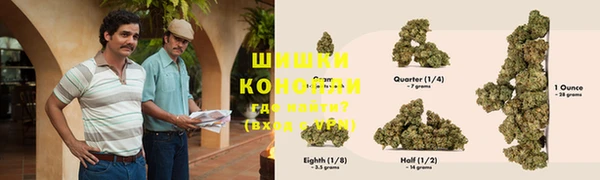 прущие грибы Нягань