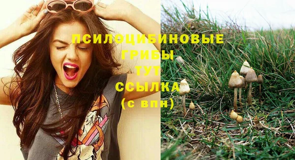 спиды Балахна