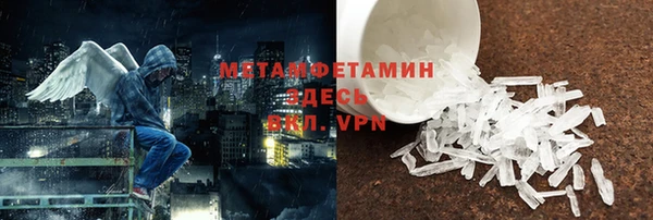 шишки Няндома