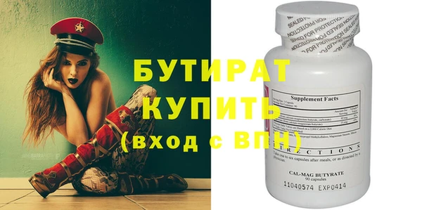 шишки Няндома